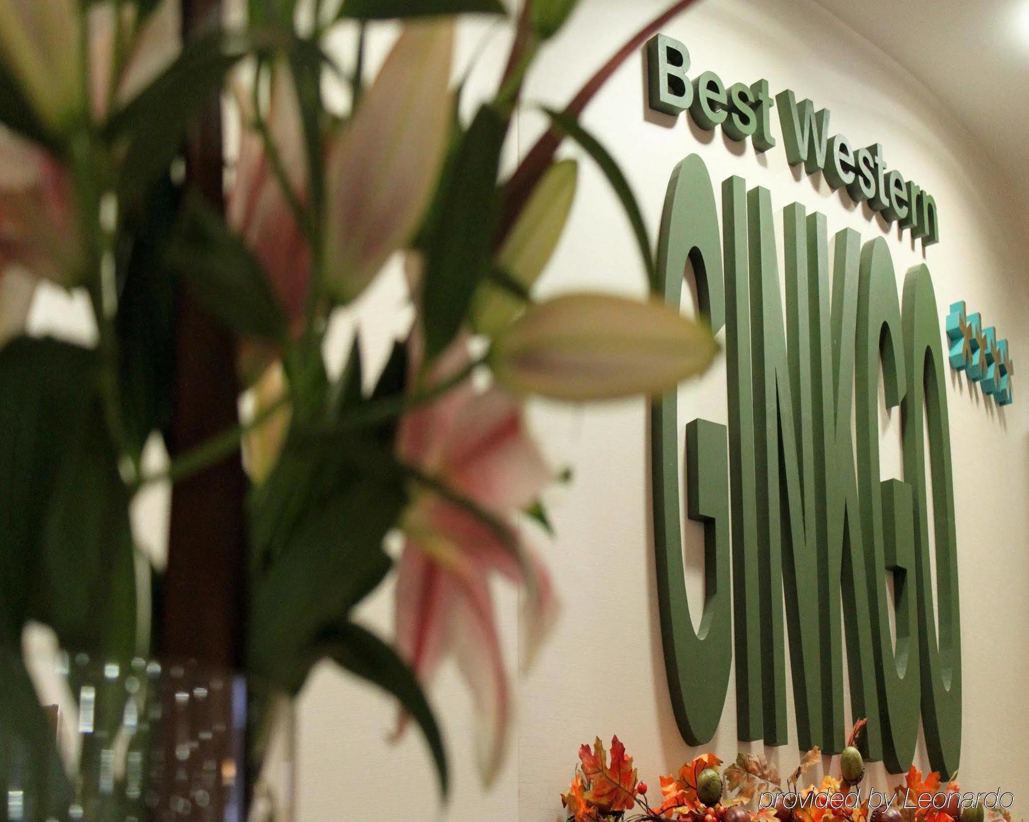 Hotel Ginkgo Hodmezovasarhely Bagian luar foto